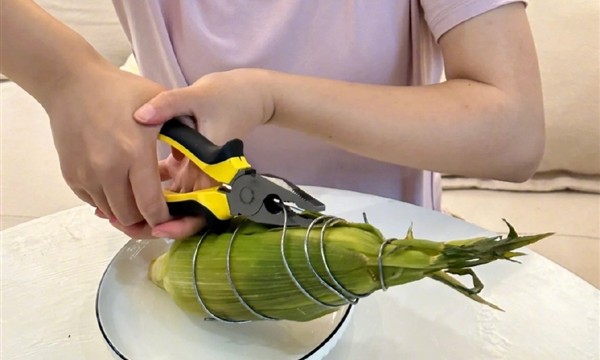 这粽子是犯了天条吗被绑成这些形状：网友看完崩溃 有才