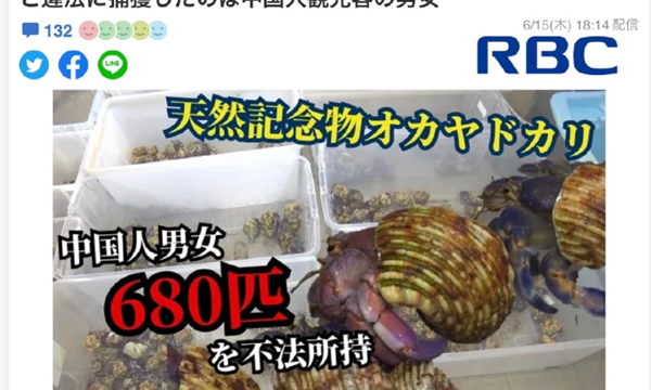 中国夫妇日本旅游抓683只蟹被抓 称食用不知是保护动物：网友感叹