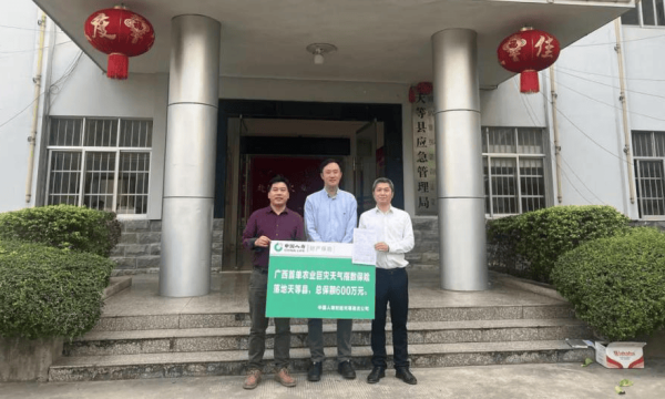 中国人寿财险广西分公司：金融助推乡村振兴全面发展