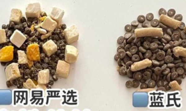 猫粮怎么选？SC善存冻干无谷猫粮用配料表引导你的选择！