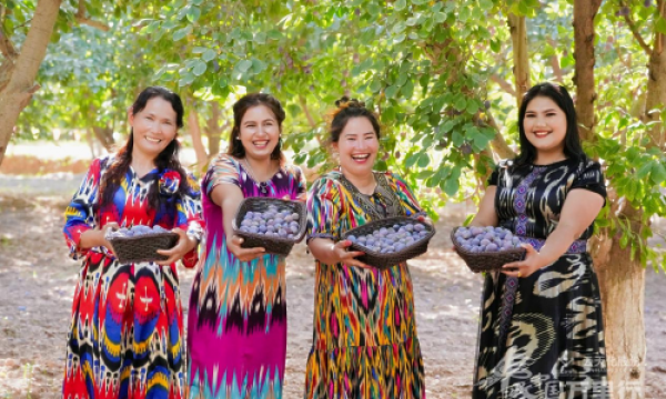 丰美南疆迎丰年，沙漠绿洲的丰收传奇