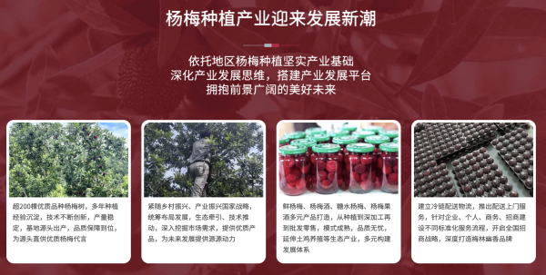 285c67d8a3bb6f7bf71b67cc04c9b76b 285c67d8a3bb6f7bf71b67cc04c9b76b