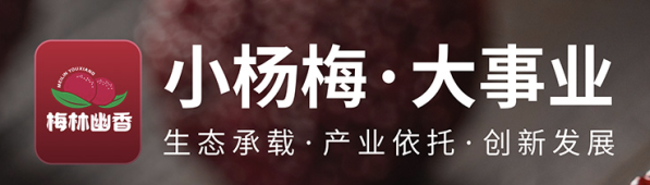 8c2361341461e221514f5a0c478b03d4 8c2361341461e221514f5a0c478b03d4