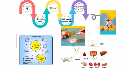 67106c648309e 67106c648309e