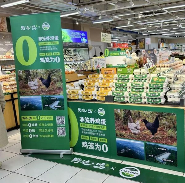 202411121519501985425136 202411121519501985425136