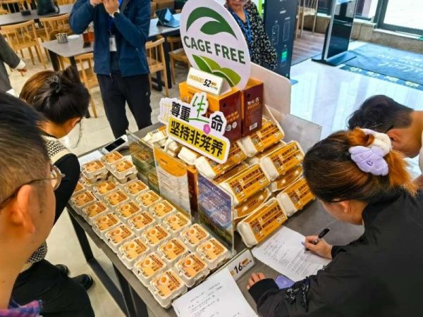 20241112151951495436068 20241112151951495436068