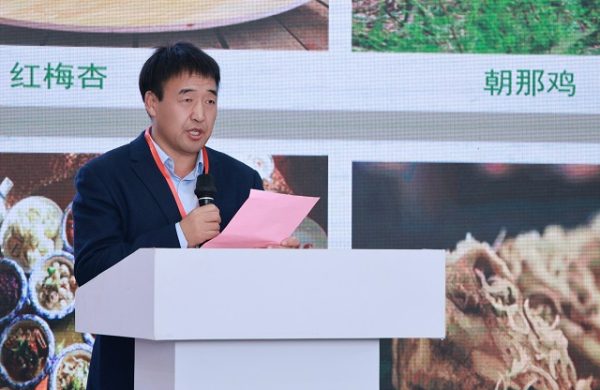 1d8f95e63cf7cc034a94296338f66b0f